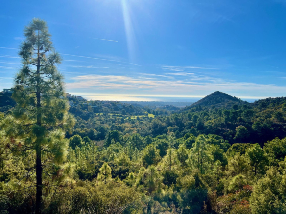 Teren rustic de 34,506 m² în Benahavis